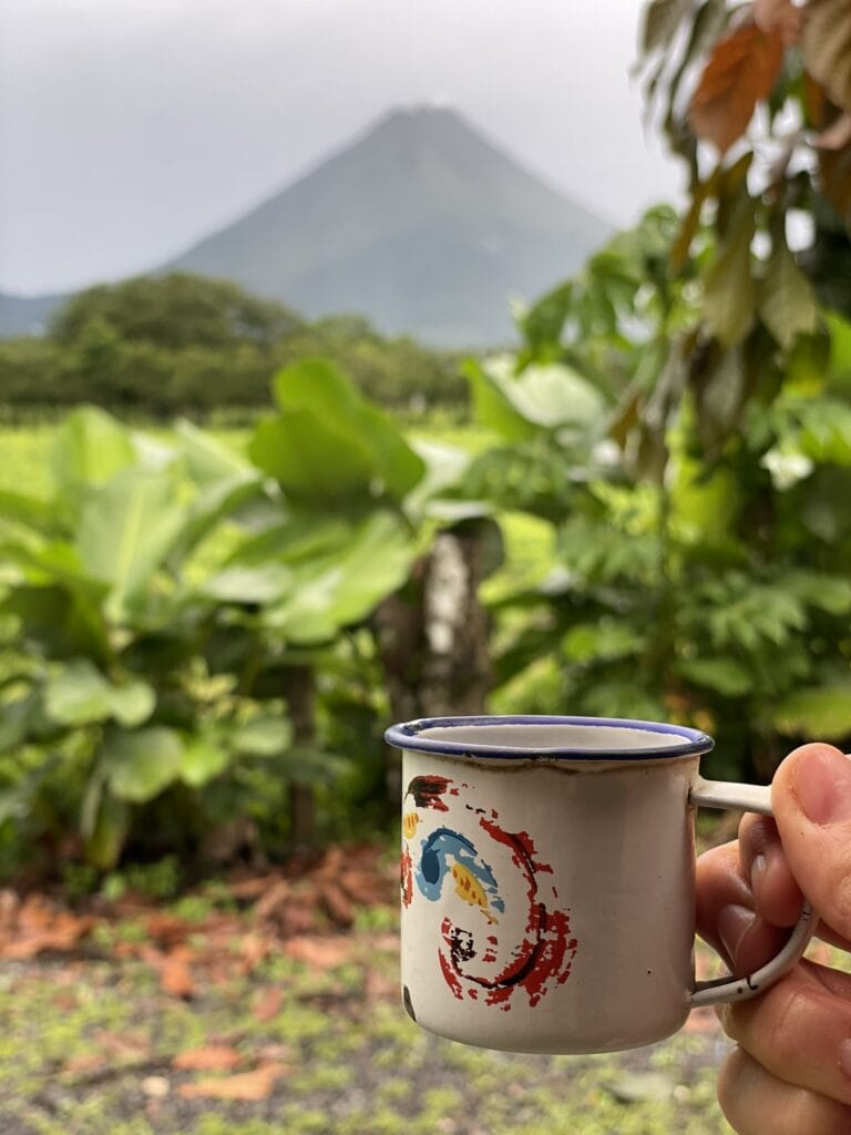 Five Things To Expect on a Chocolate/Coffee Farm Tour in La Fortuna, Costa Rica