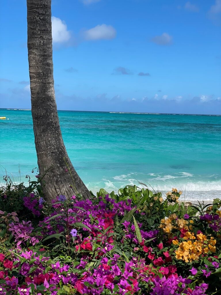 15 Insider Tips For Your Stay At Beaches Turks & Caicos