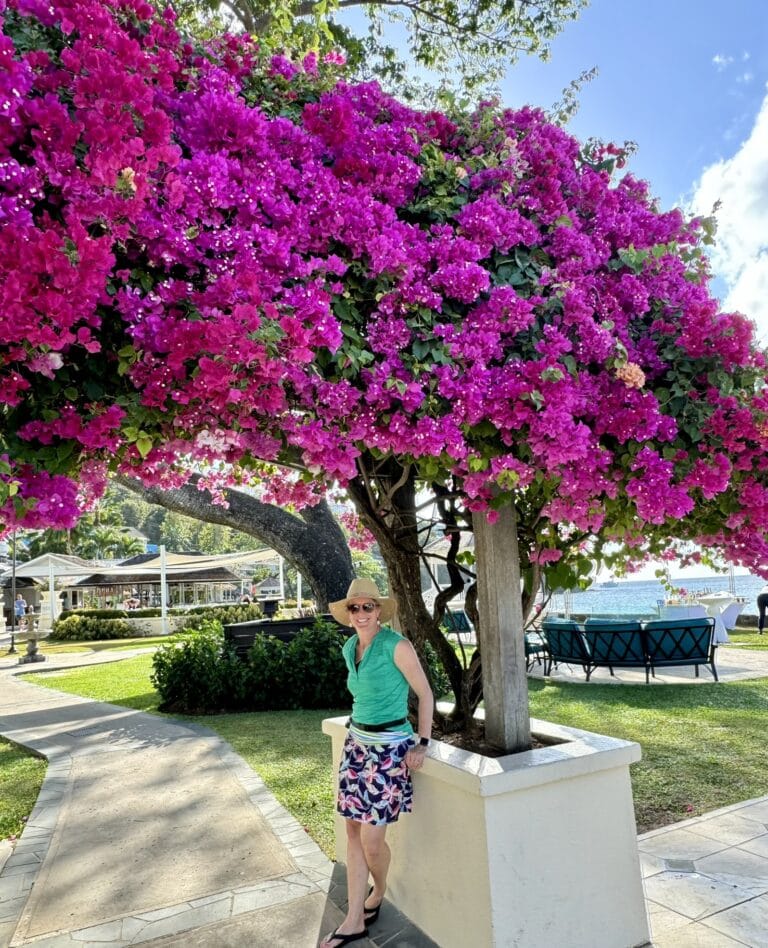 Comparing All Three Sandals Resorts in Saint Lucia