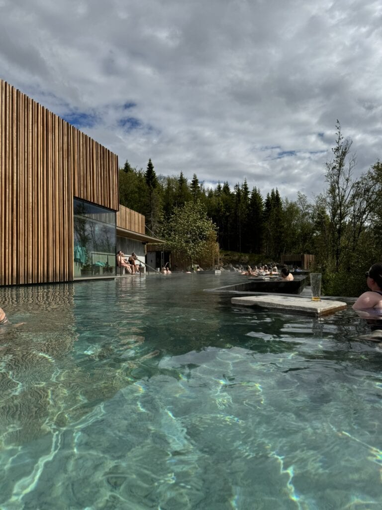 Woodland Wonder…Forest Lagoon Review