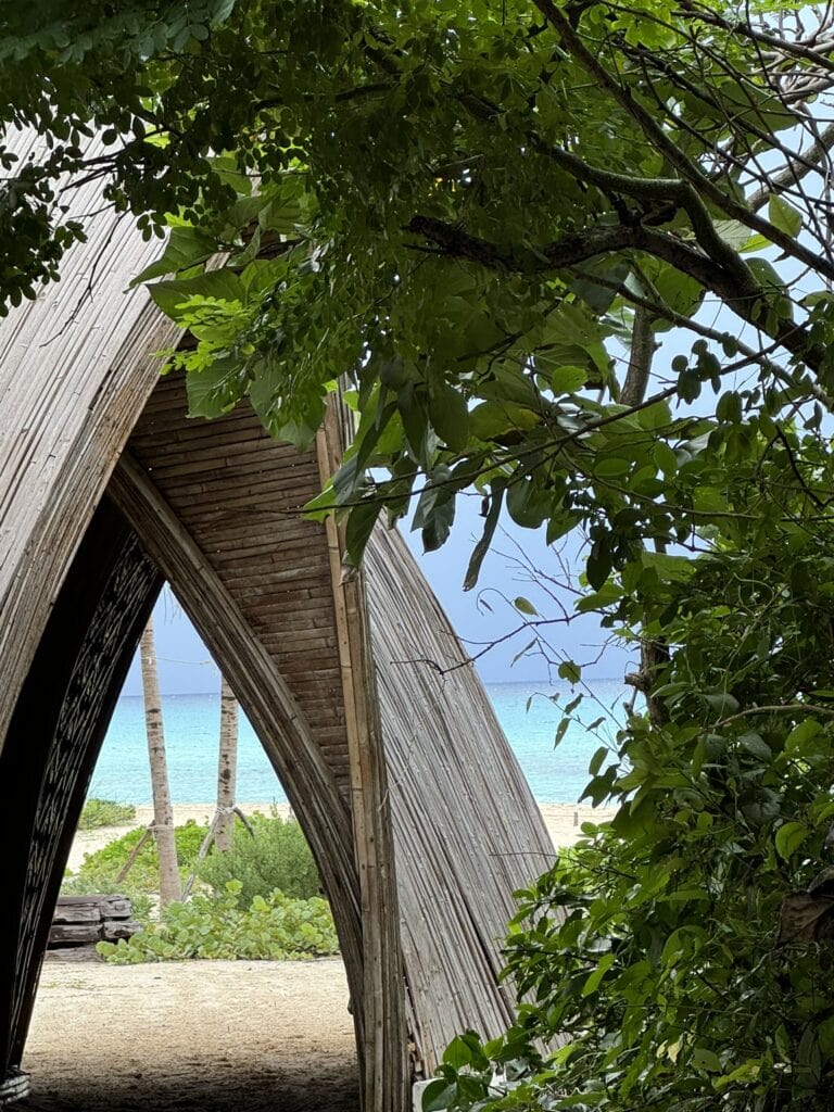 Wellness in Mexico-My Experience at Palmaia, the House of Aia