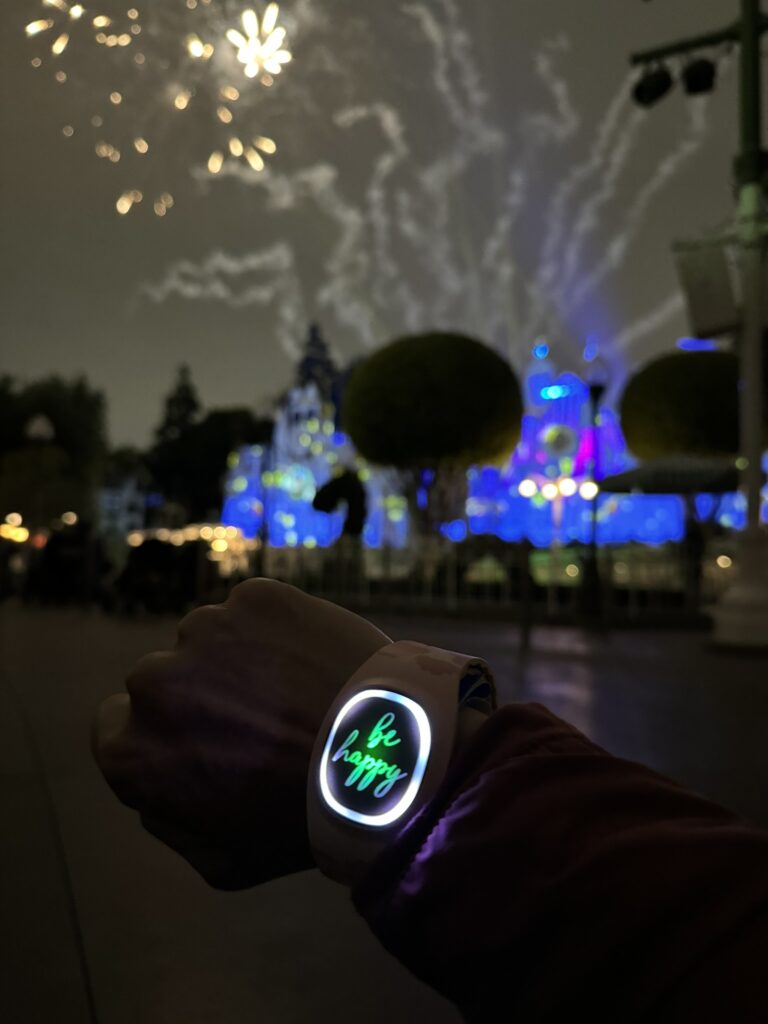 Ten Tips for Visiting Disneyland Resort
